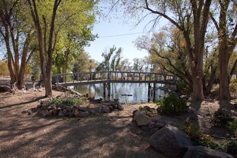 bridge-480
