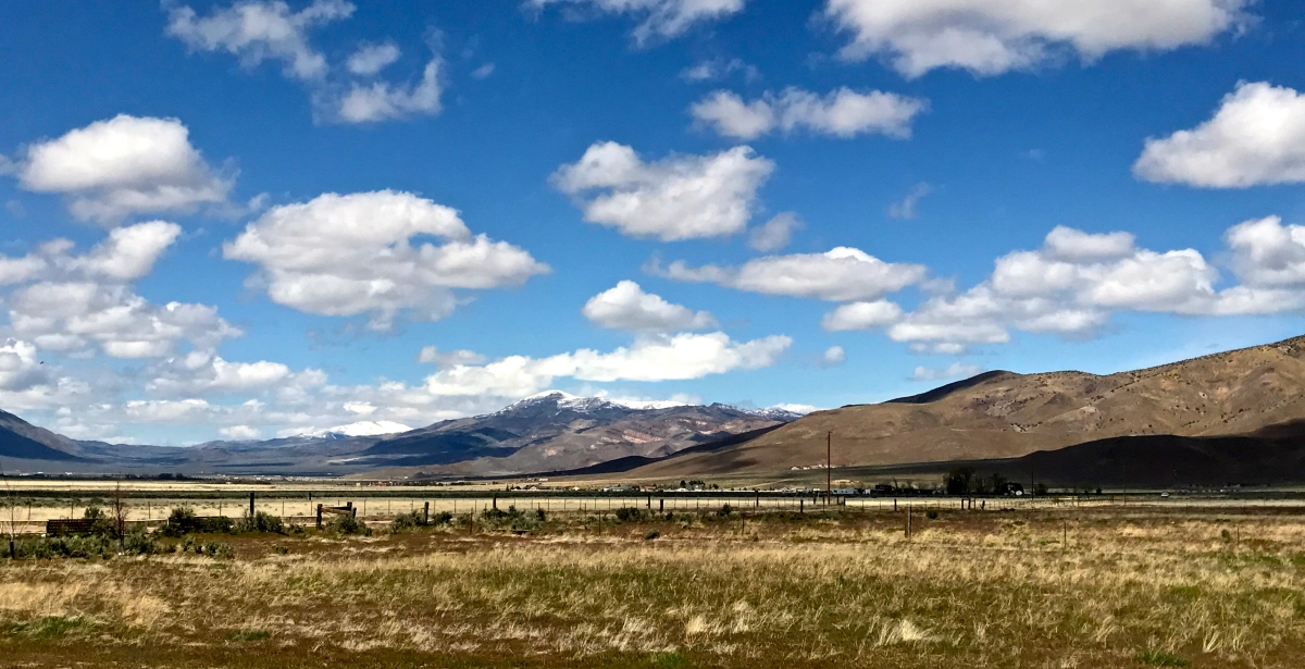 farmview