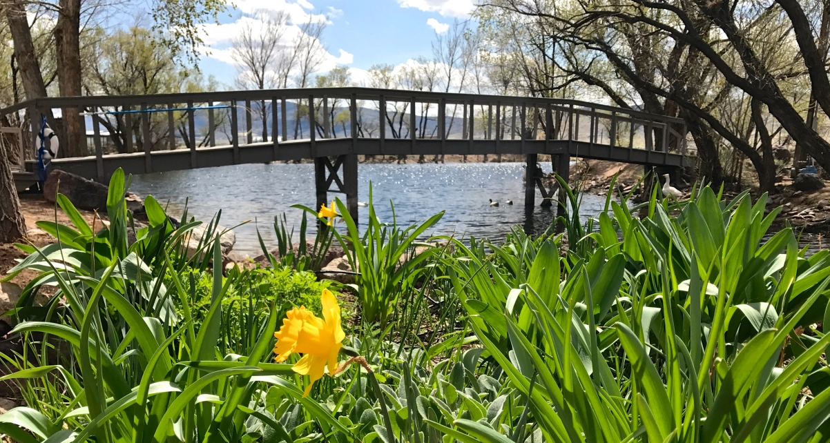 lake1